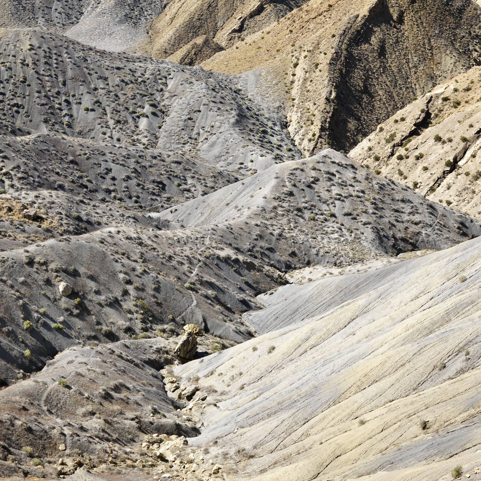 Rocky landscape in desert of Cottonwood Canyon, Utah.