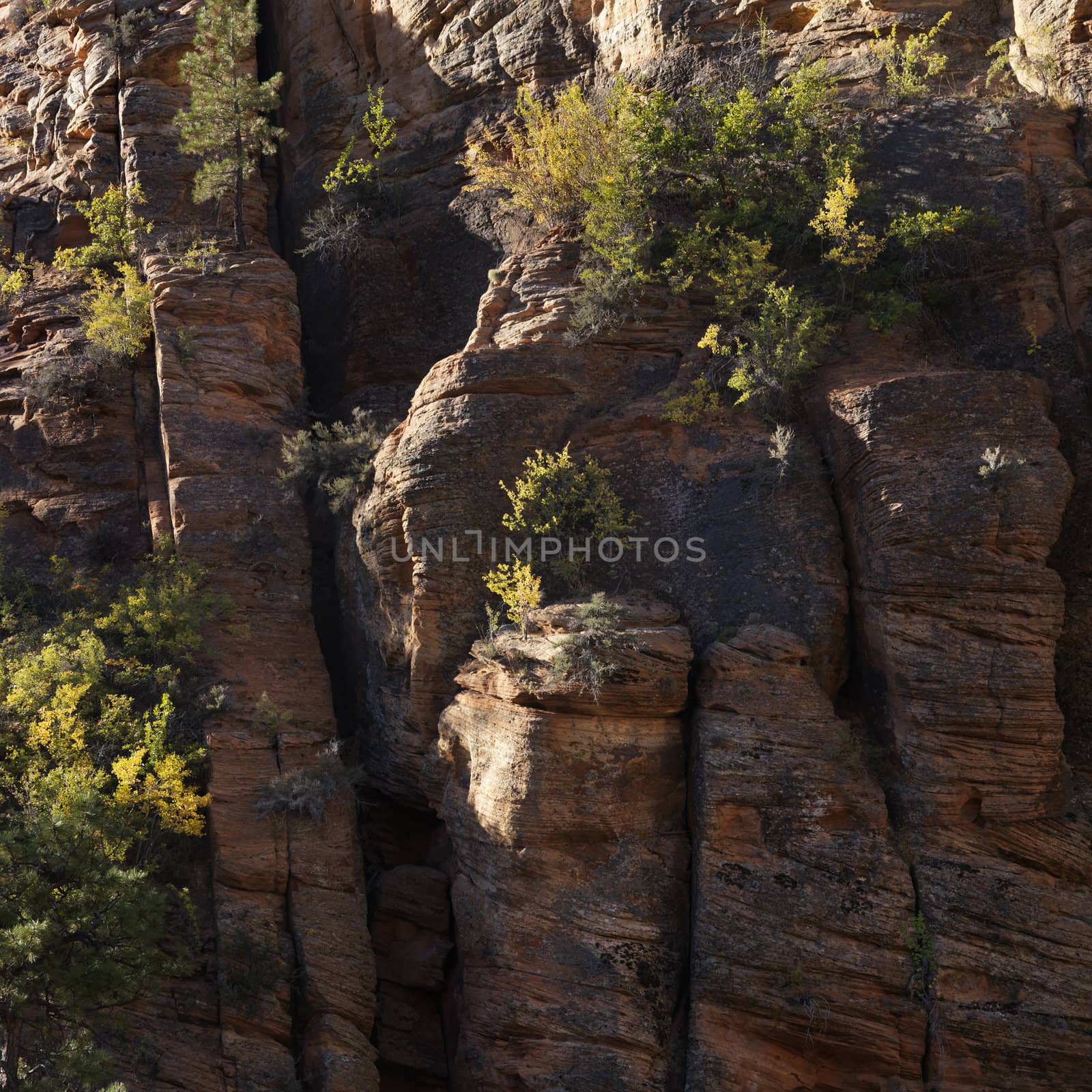 Rocky cliffs with vegetation in Zion National Park, Utah.