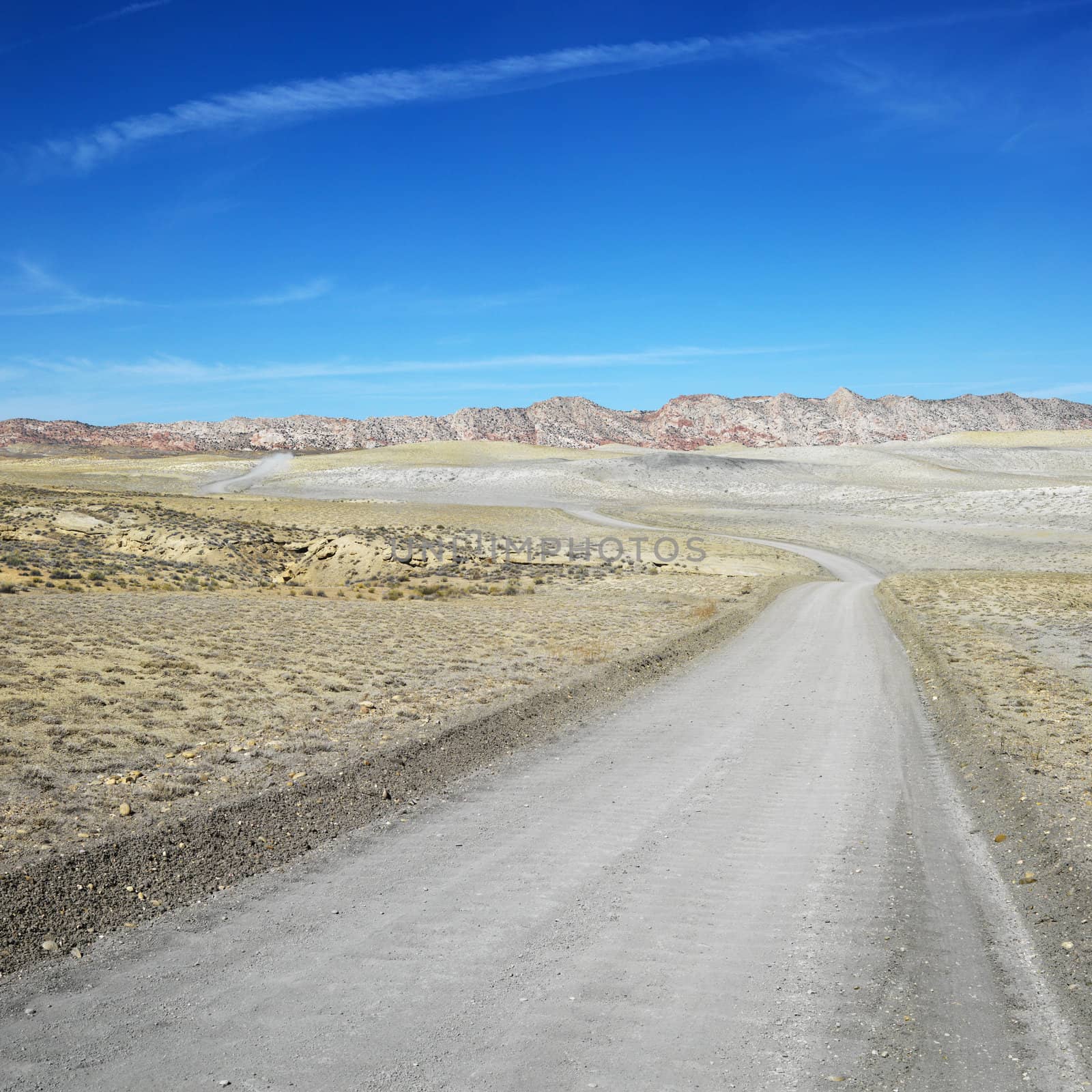 Dirt road through desert of Cottonwood Canyon.