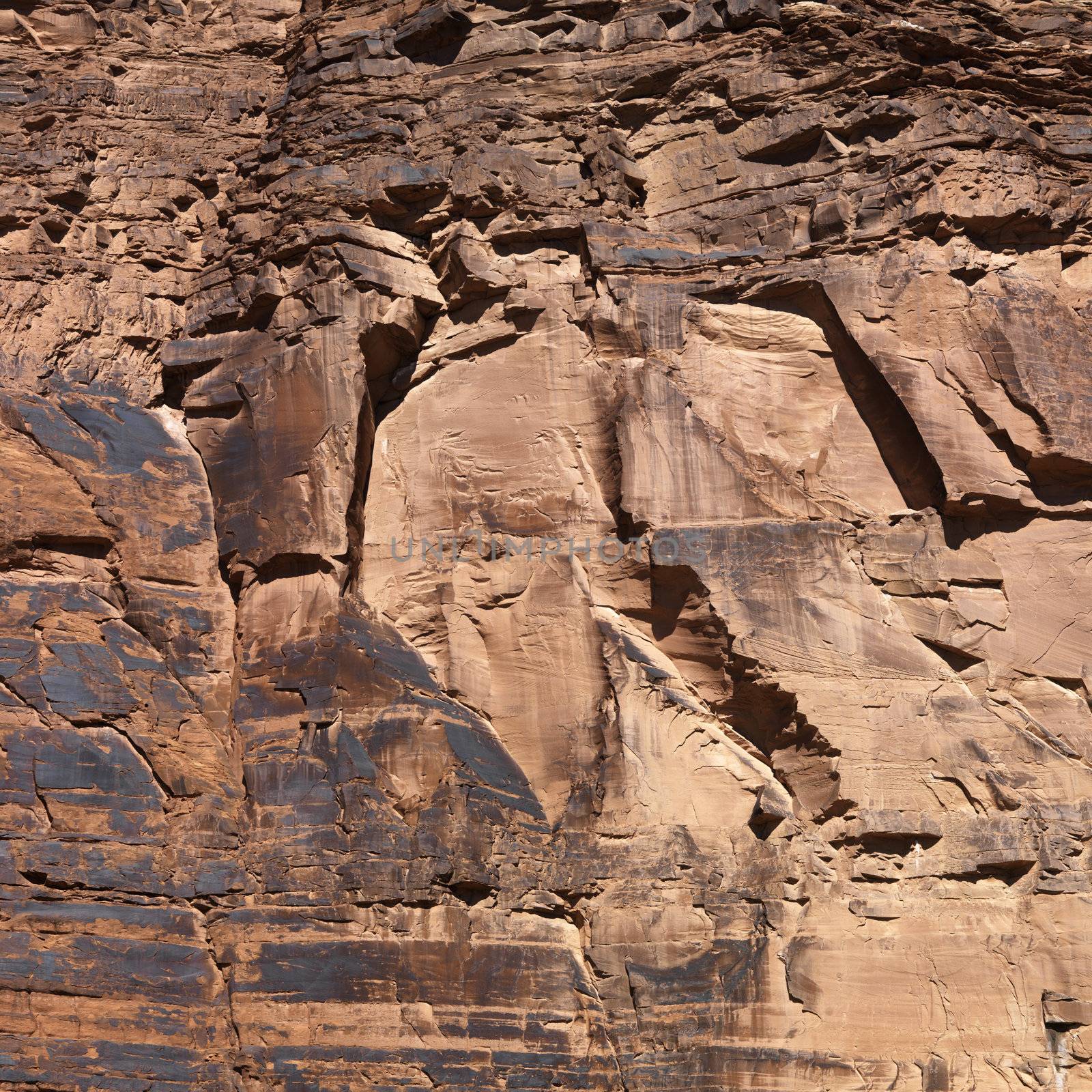 Close-up of red rock wall in Utah.