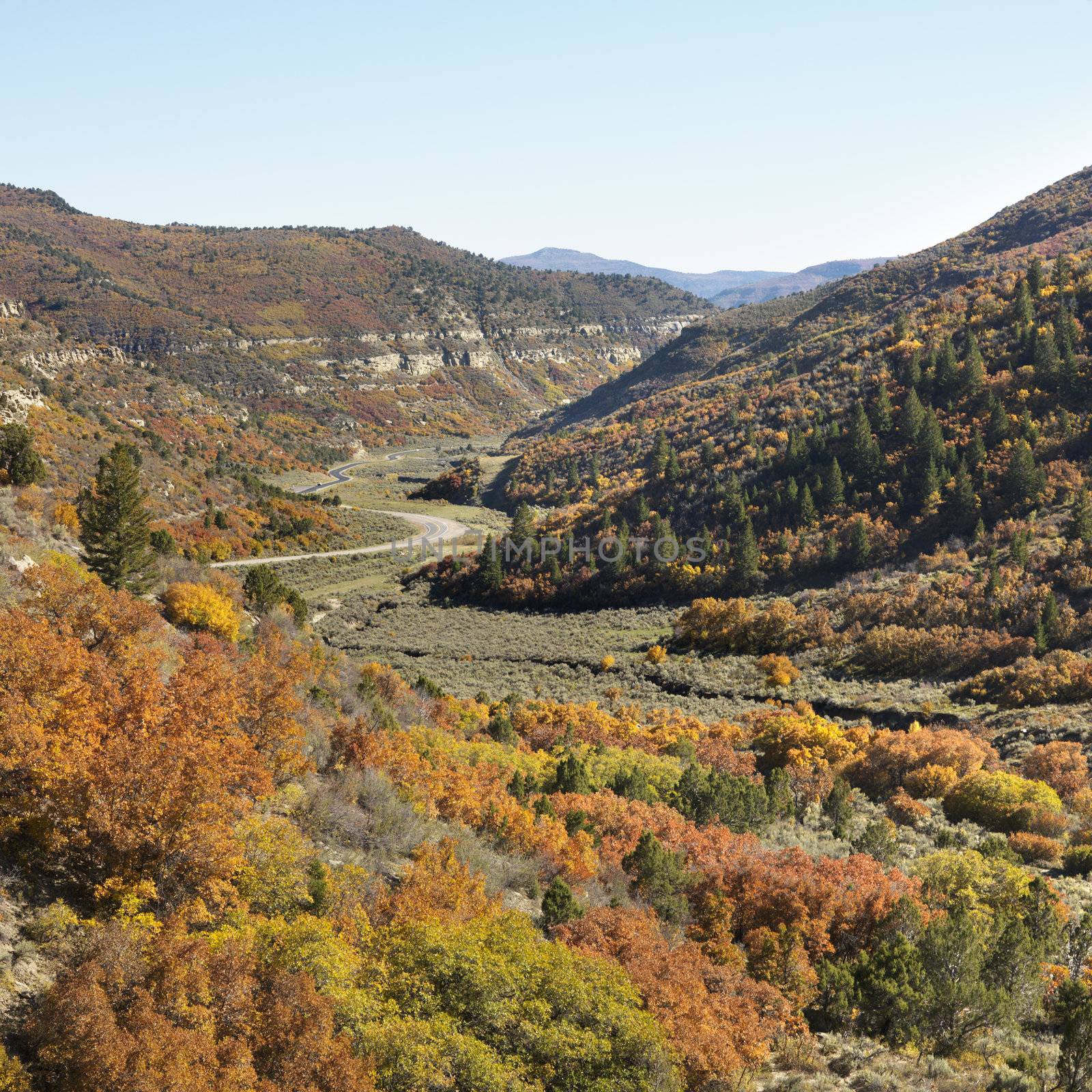 Landscape with trees in Fall color and winding road in Utah.