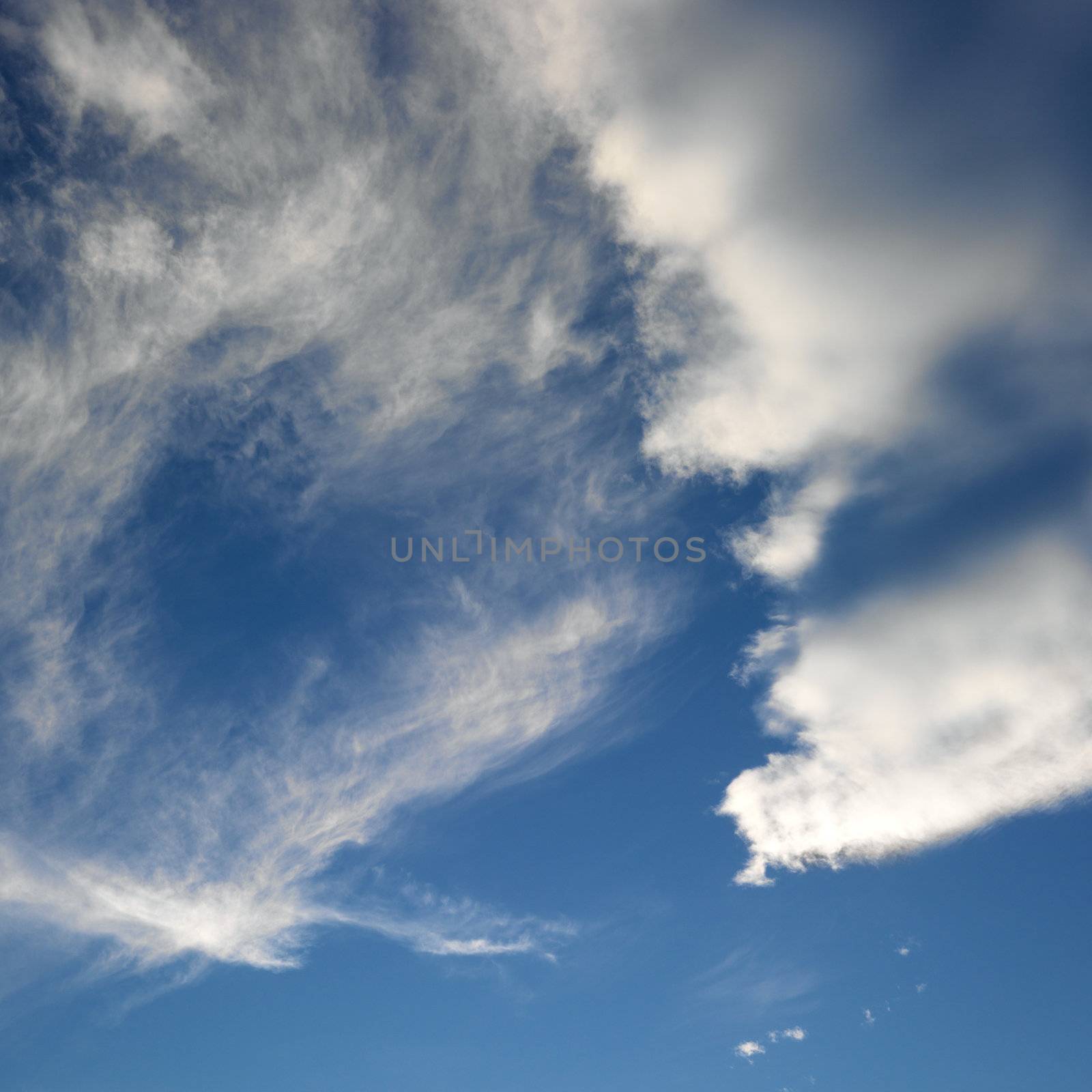 Wispy cloud formations against clear blue sky.