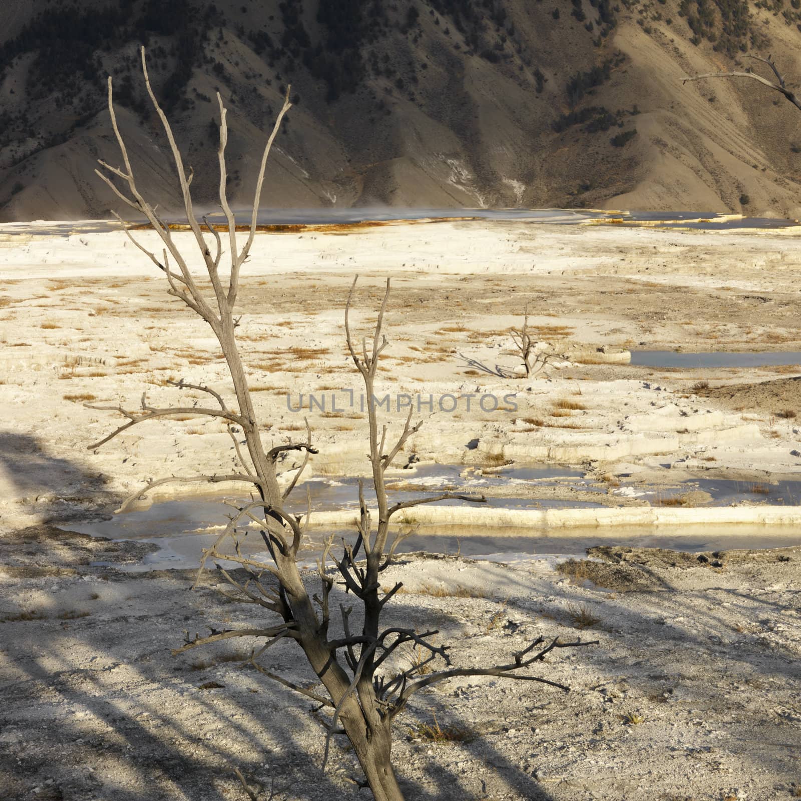 Mountains with barren valley at Yellowstone National Park, Wyoming.