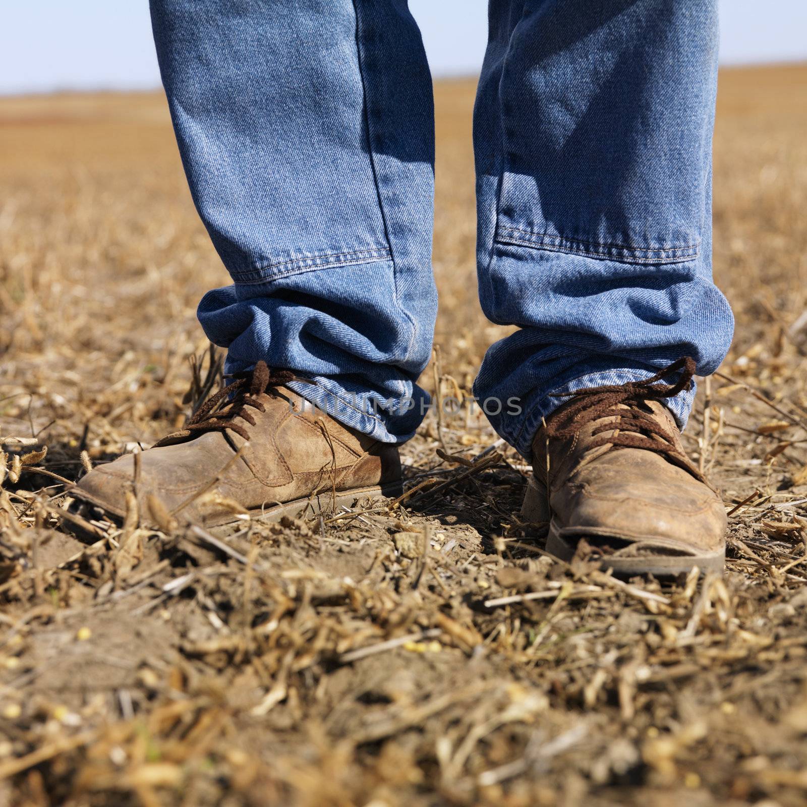 Feet shot of man wearing workboots standing in soybean field.