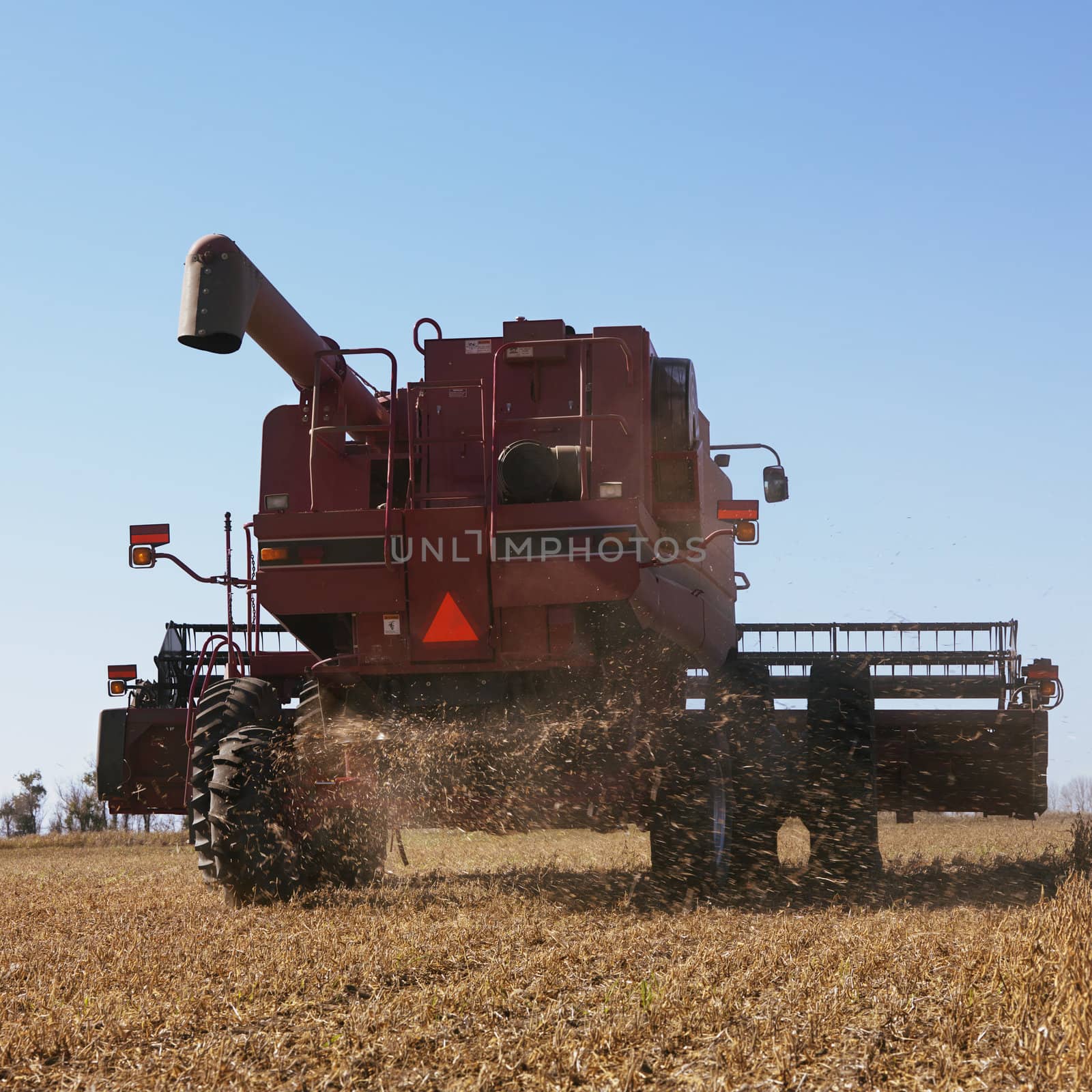 Back view of combine harvesting soybeans.