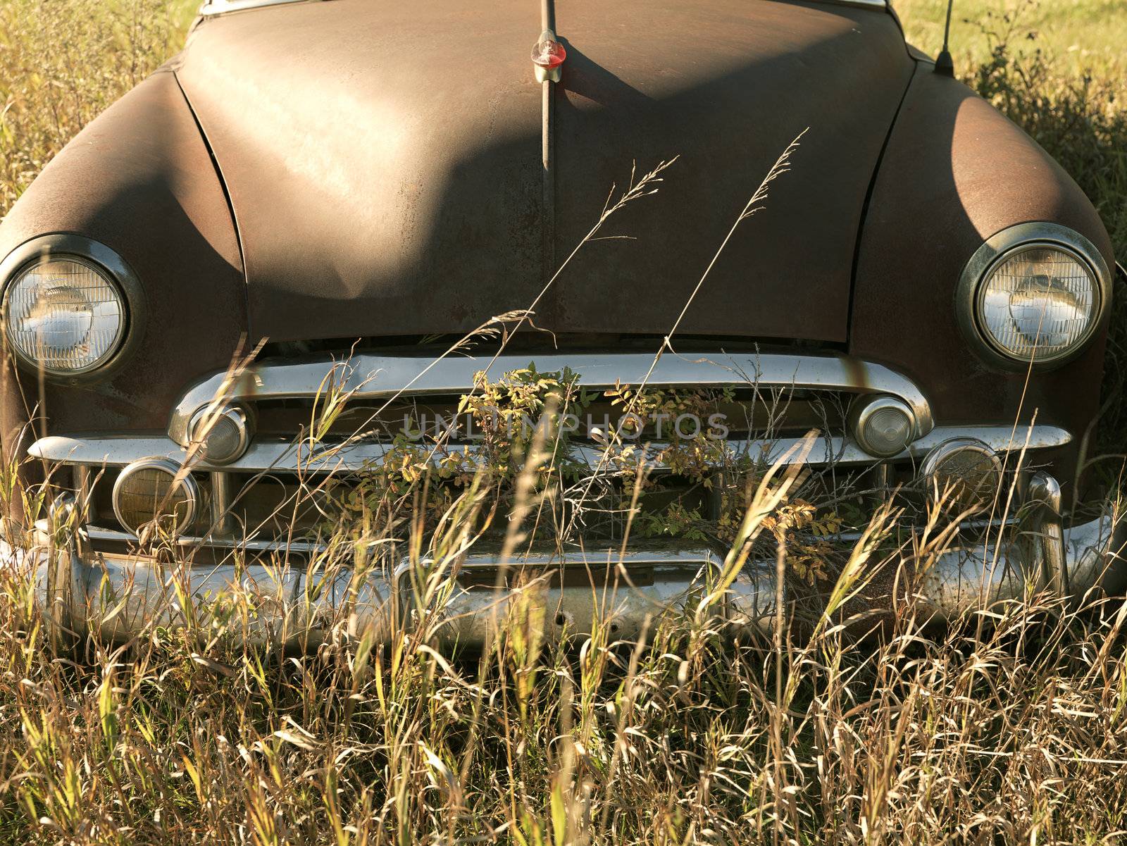Front end of old abandoned antique car in field.