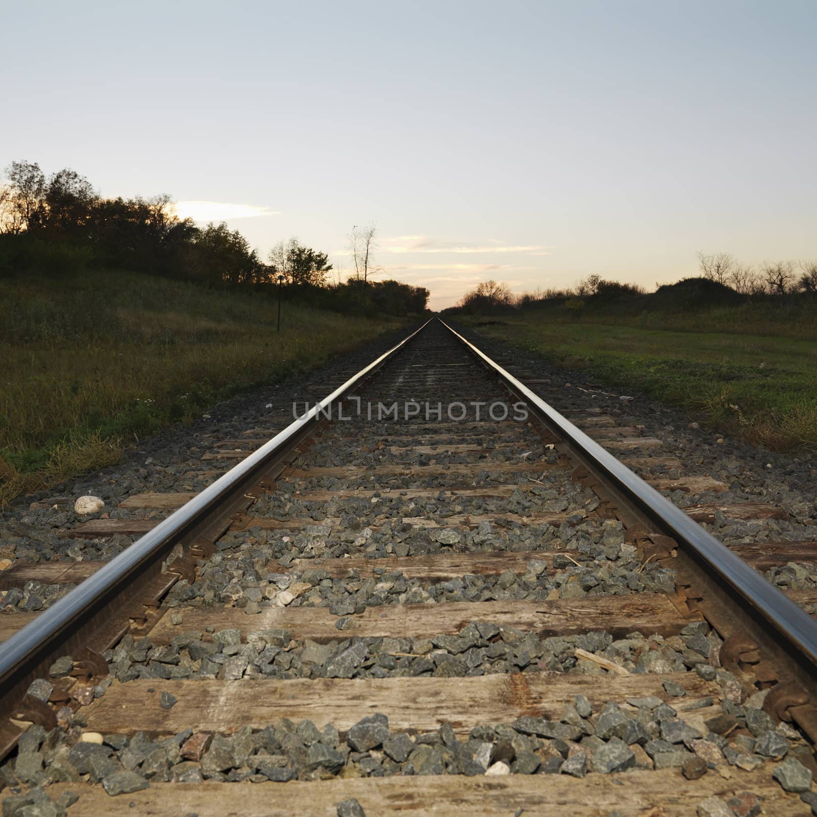 Low angle diminishing view of railroad tracks in rural setting at dusk.