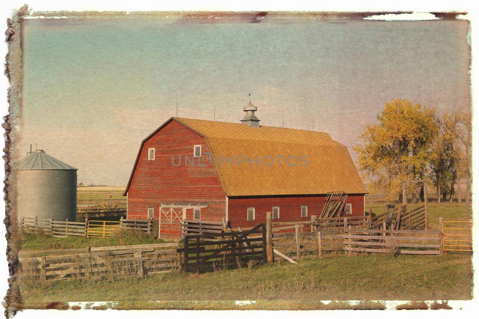 Red barn. by iofoto