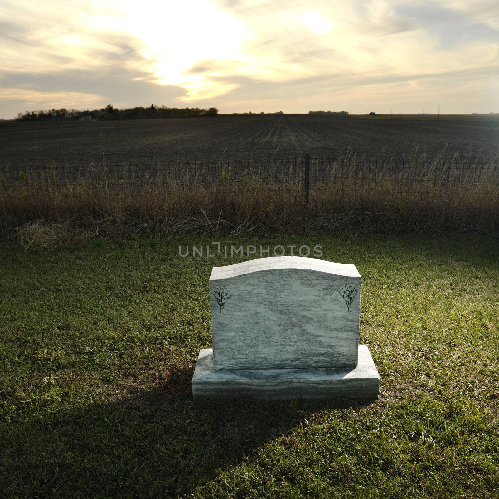 Headstone marking grave in rural countryside at sunset.