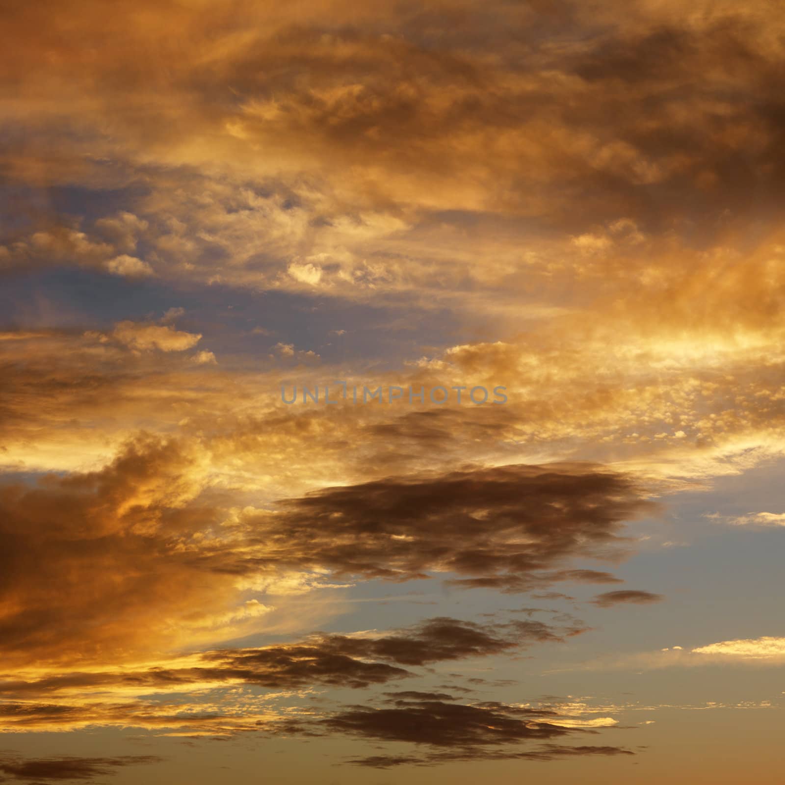 Golden clouds in sky with sunset.