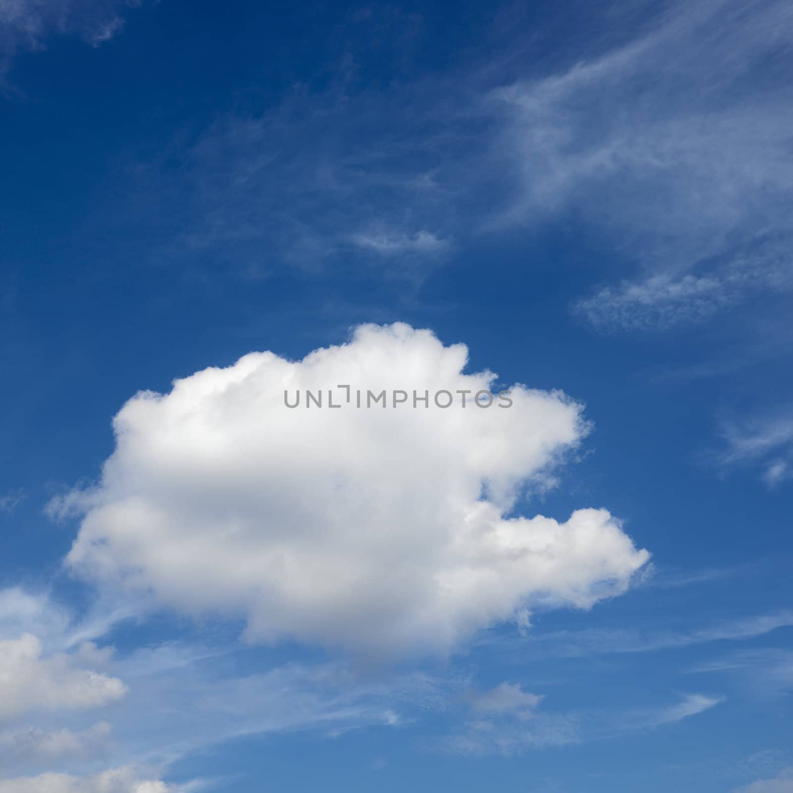 White puffy cumulus cloud in blue sky.
