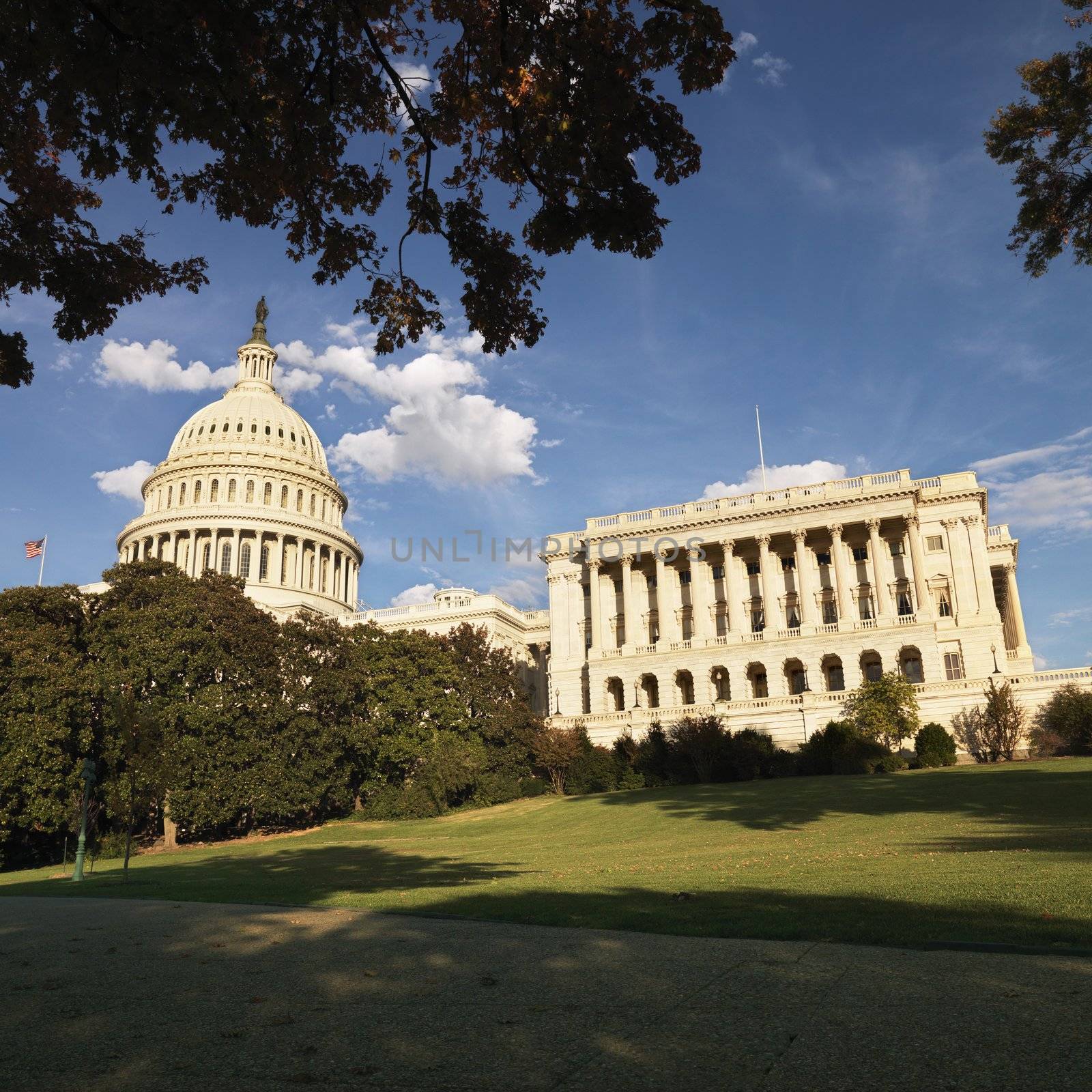 Capitol Building, Washington DC. by iofoto