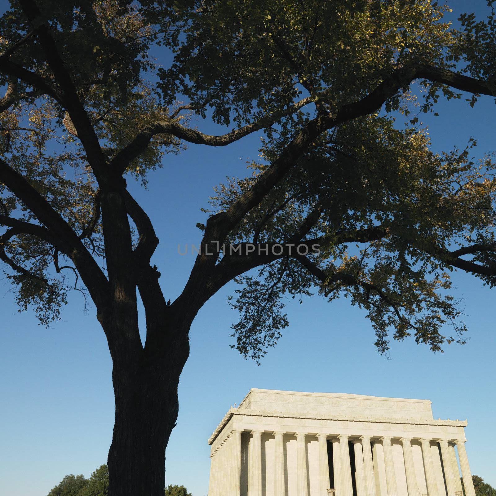 Lincoln Memorial in Washington, D.C., USA.