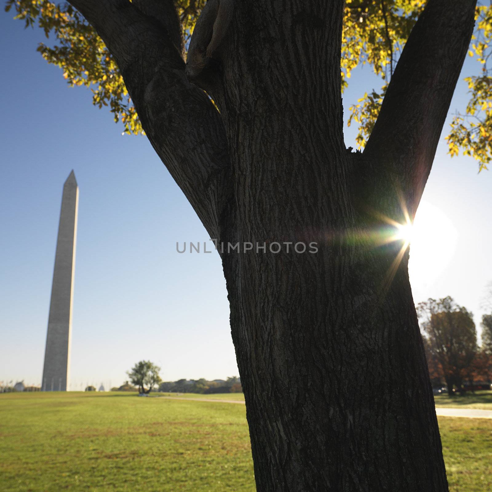 World War II Memorial in Washington, DC, USA.