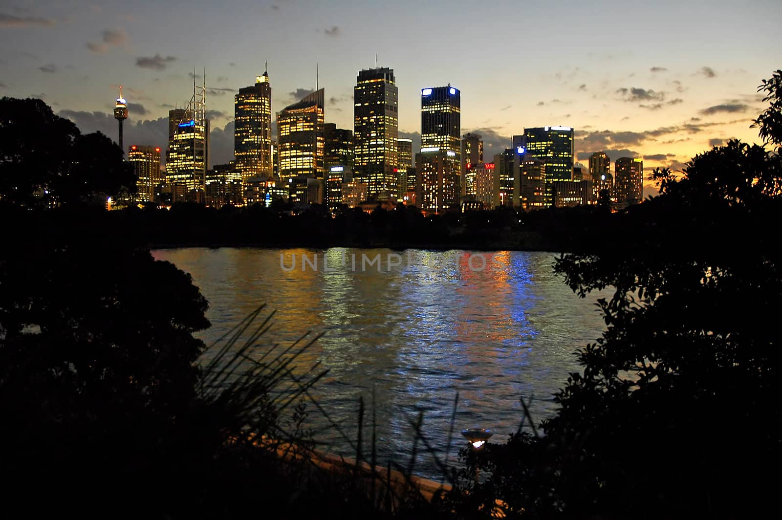 sydney night scenery, lights reflection in water, trees silhouettes in foreground, photo taken from Botanic Gardens, Farm Cove in foreground