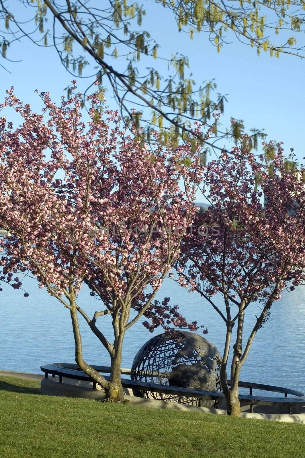Captain Cook Memorial Globe in Canberra, blooming pink trees, regatta point
