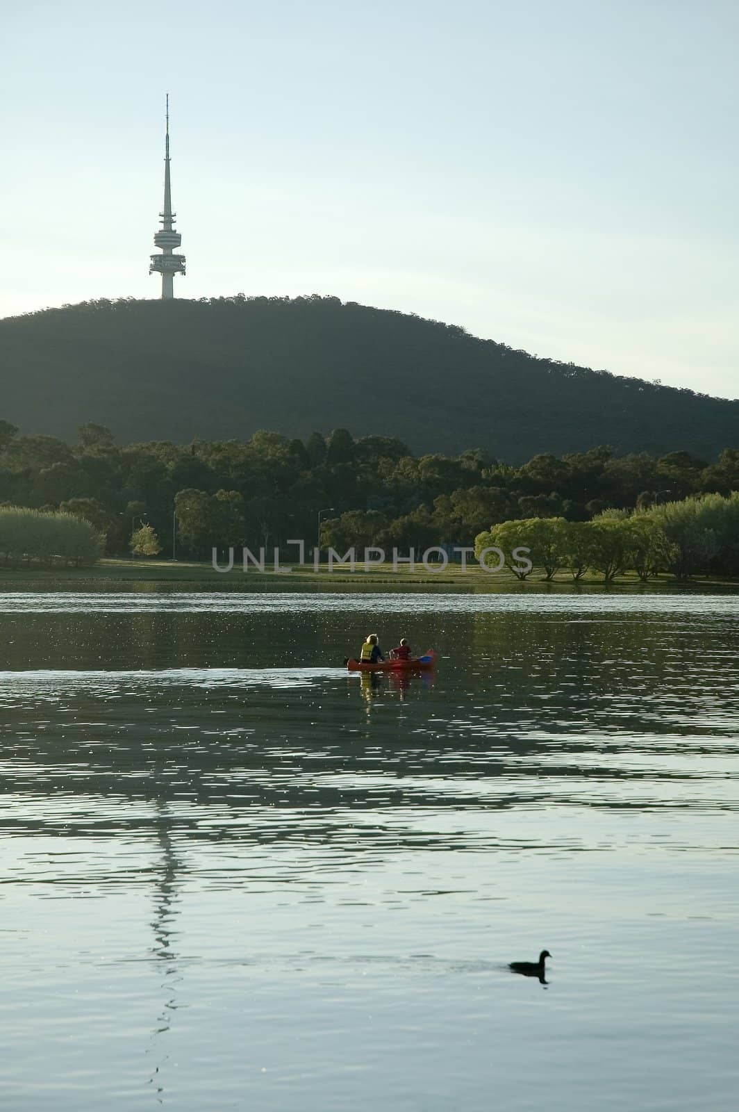 kayak with a woman and a boy, famous Telstra tower in background; duck in foreground; Canberra - Australia