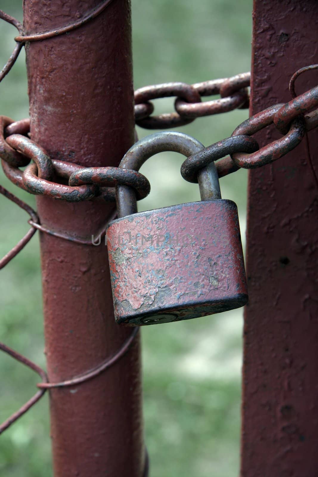 old rusty gate locked with an old rusty lock, green blurred background