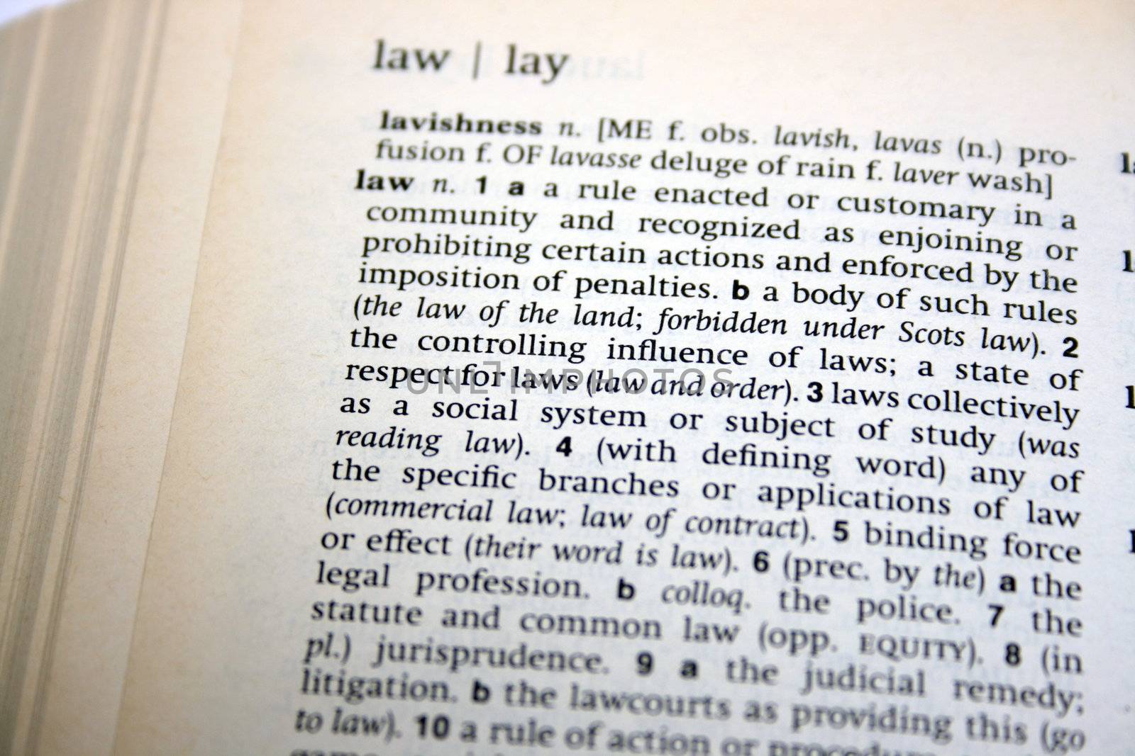 the meaning of the law looked up in the dictionary