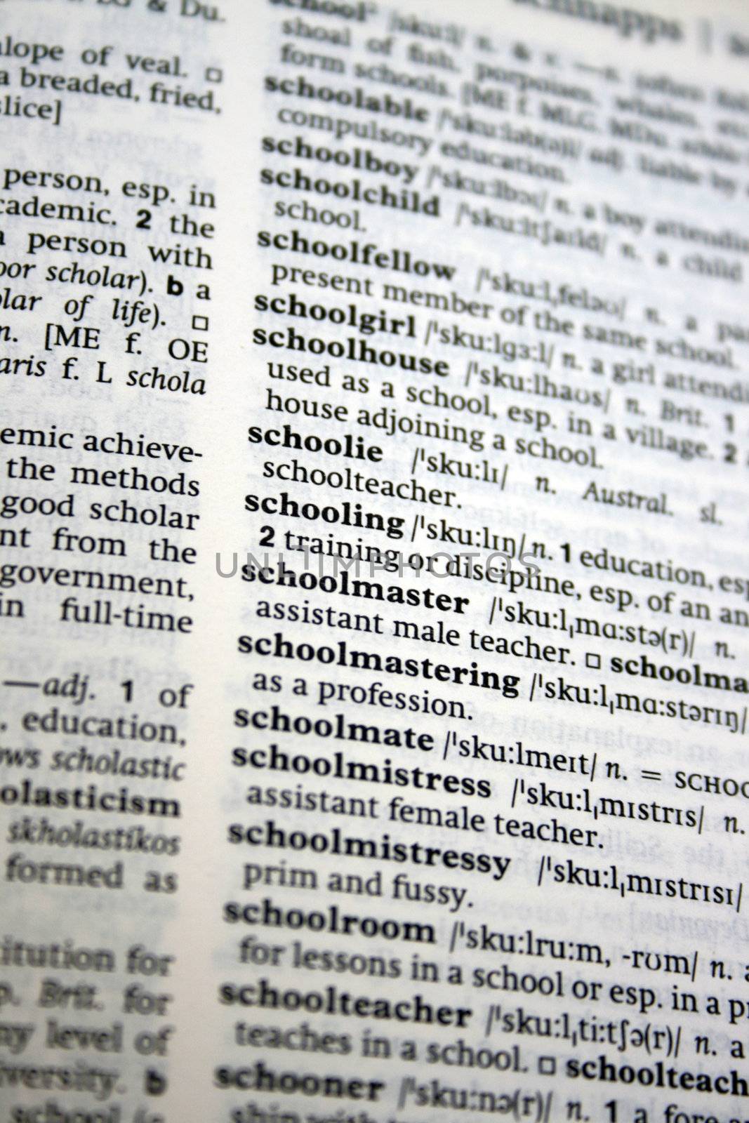 Meaning of School looked up in a dictionary