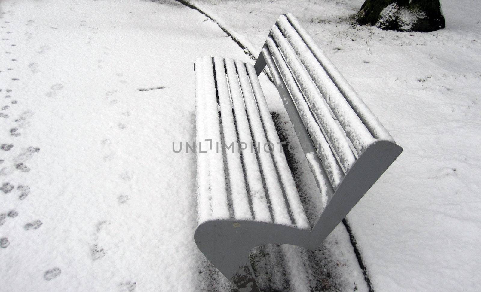 snow covered bench in a park                               