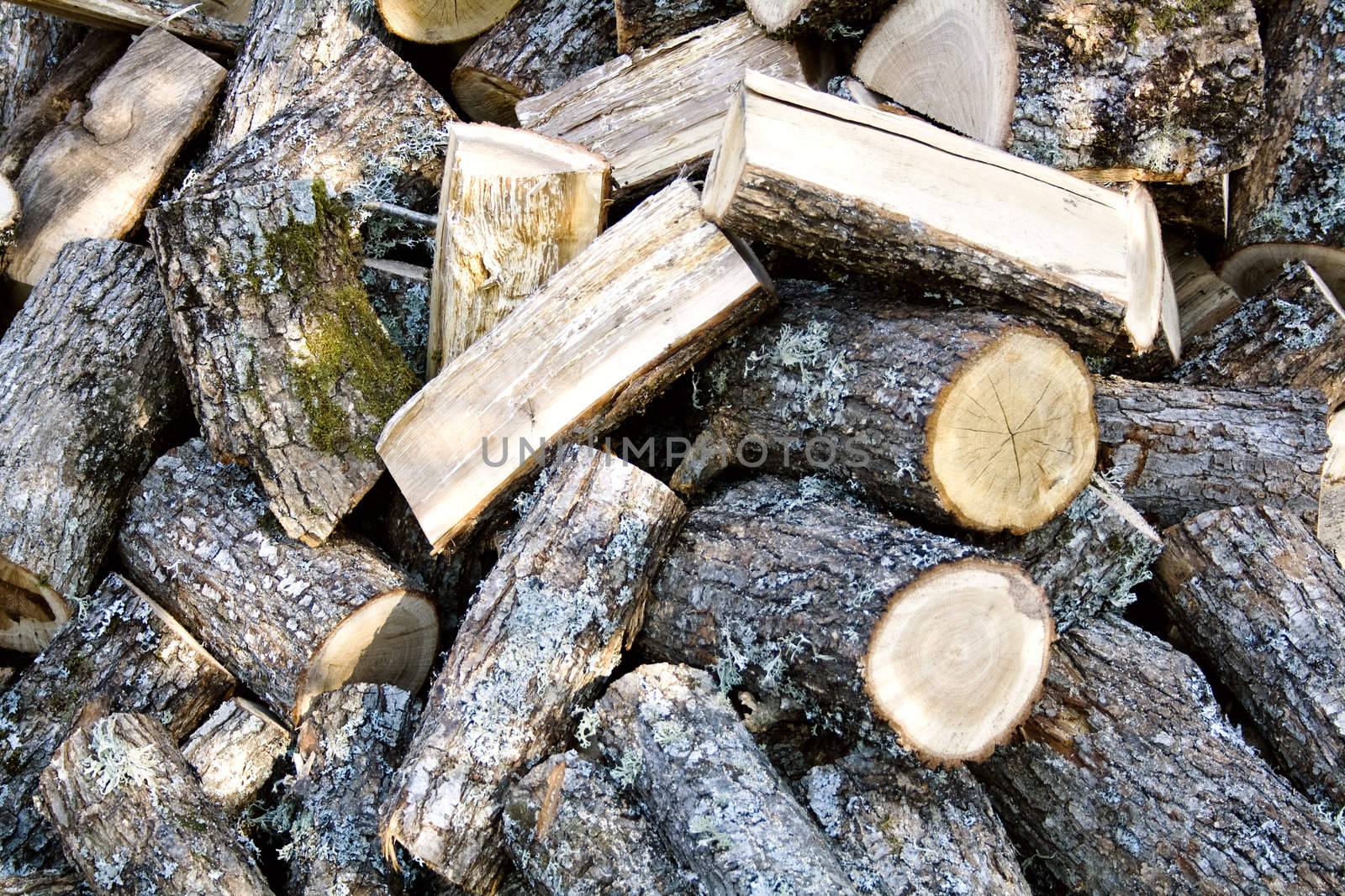 Abstract image of sliced oak fire wood