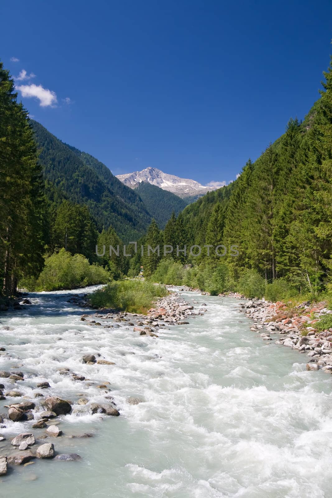 summer view of a beautiful stream Trentino, Italy. Photo taken with polarized filter