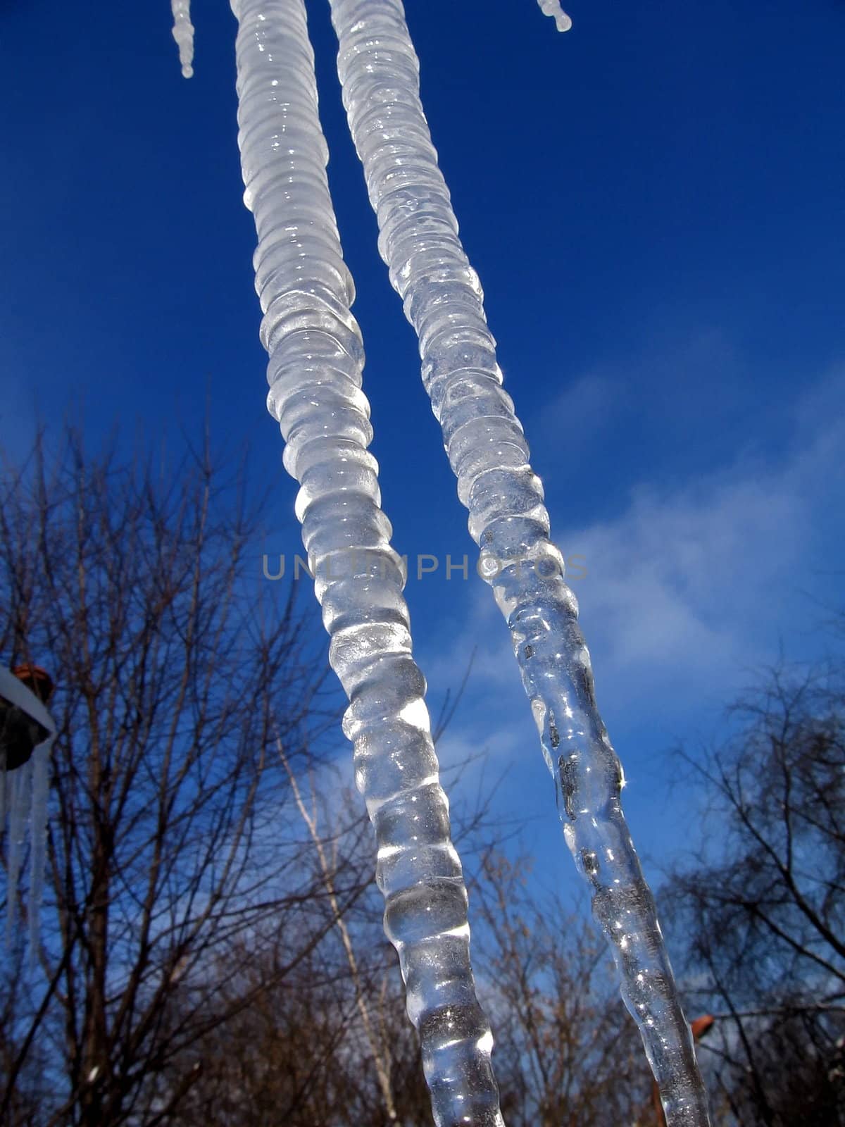 Two transparent icicles on a background of blue sky
