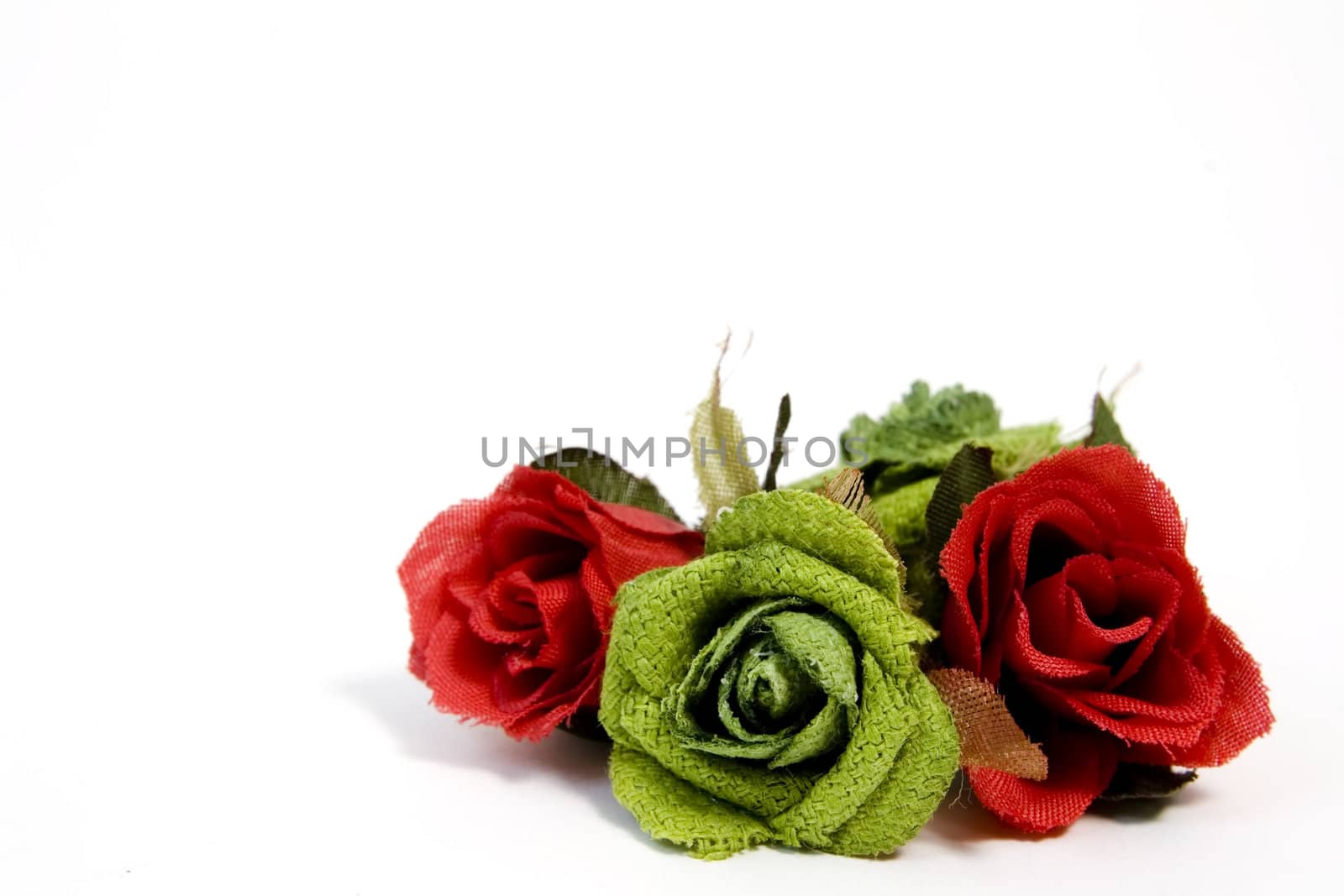 red and green roses with copy space by nubephoto
