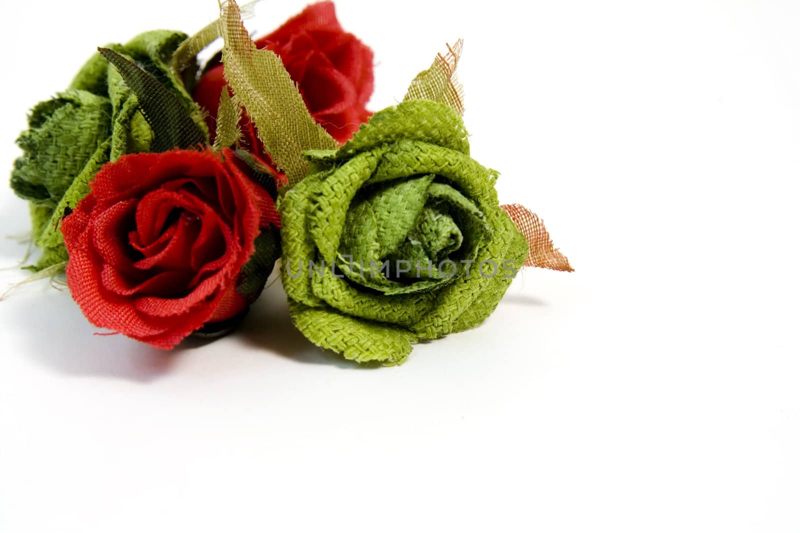 red and green roses on white background with copy space