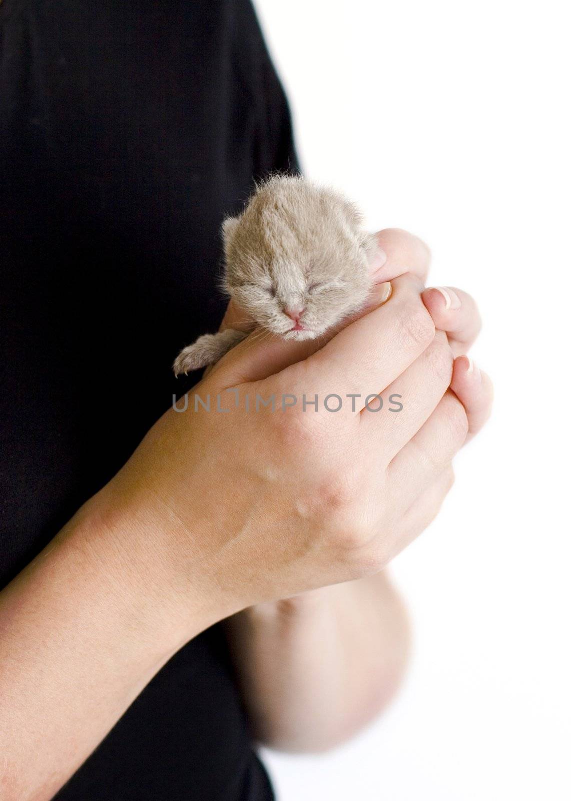 Very small kitty (3 days) in human hands.