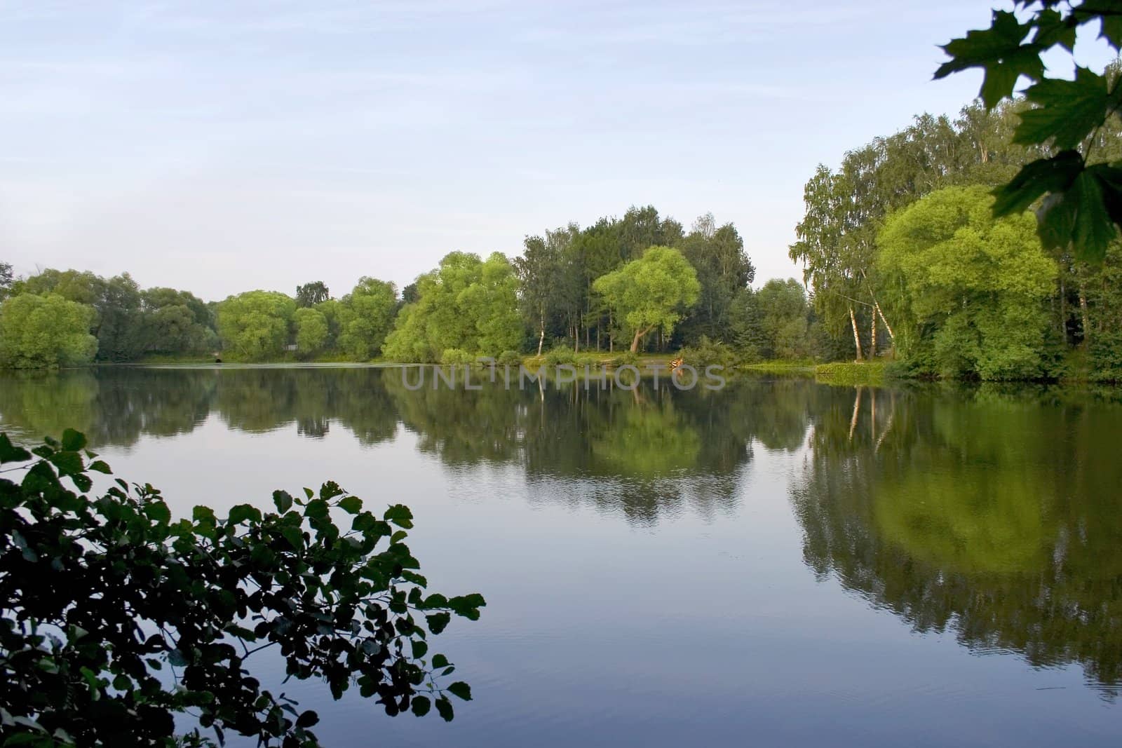 Big pond in town outside forest . Summer time.