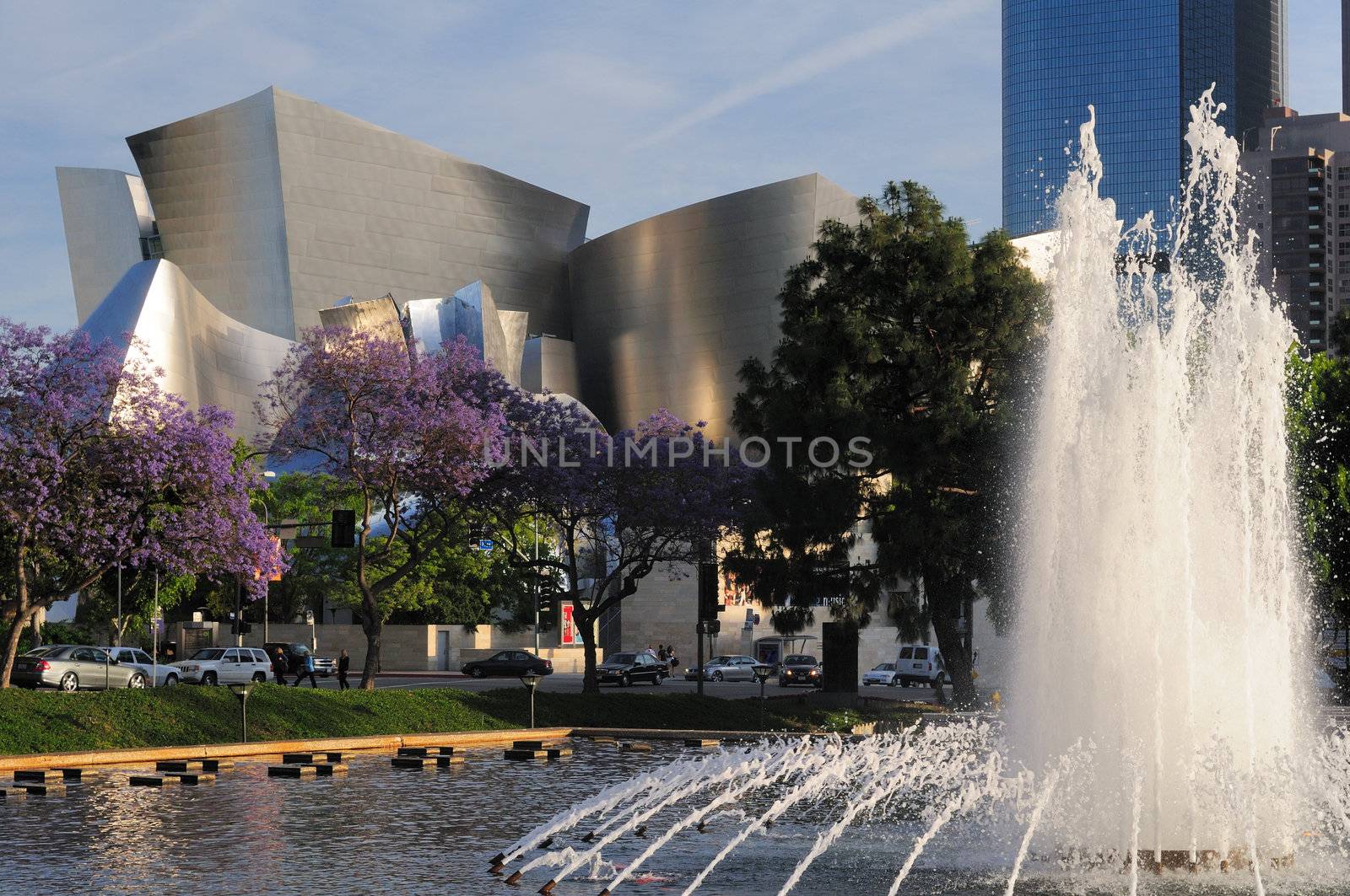 Los Angeles Philharmonic Orchestra venue (Walt Disney Concert Hall) with jacaranda trees and fountain in foreground