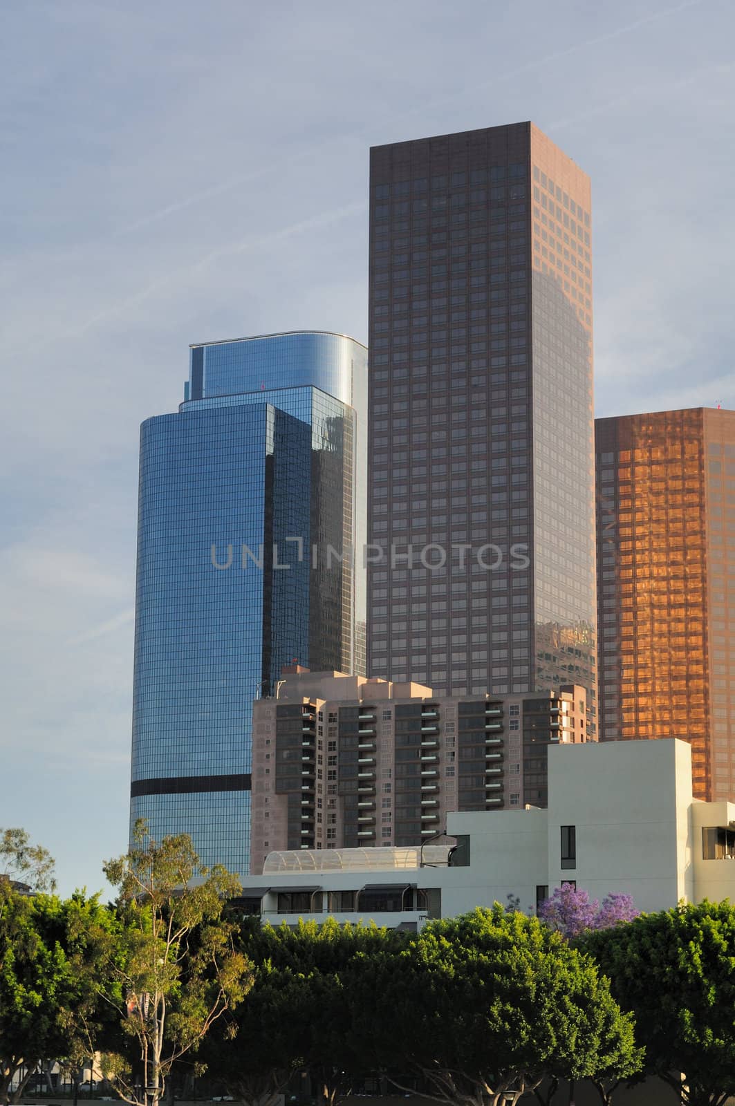 Several skyscrapers rise out of an avenue of trees into a blue sky