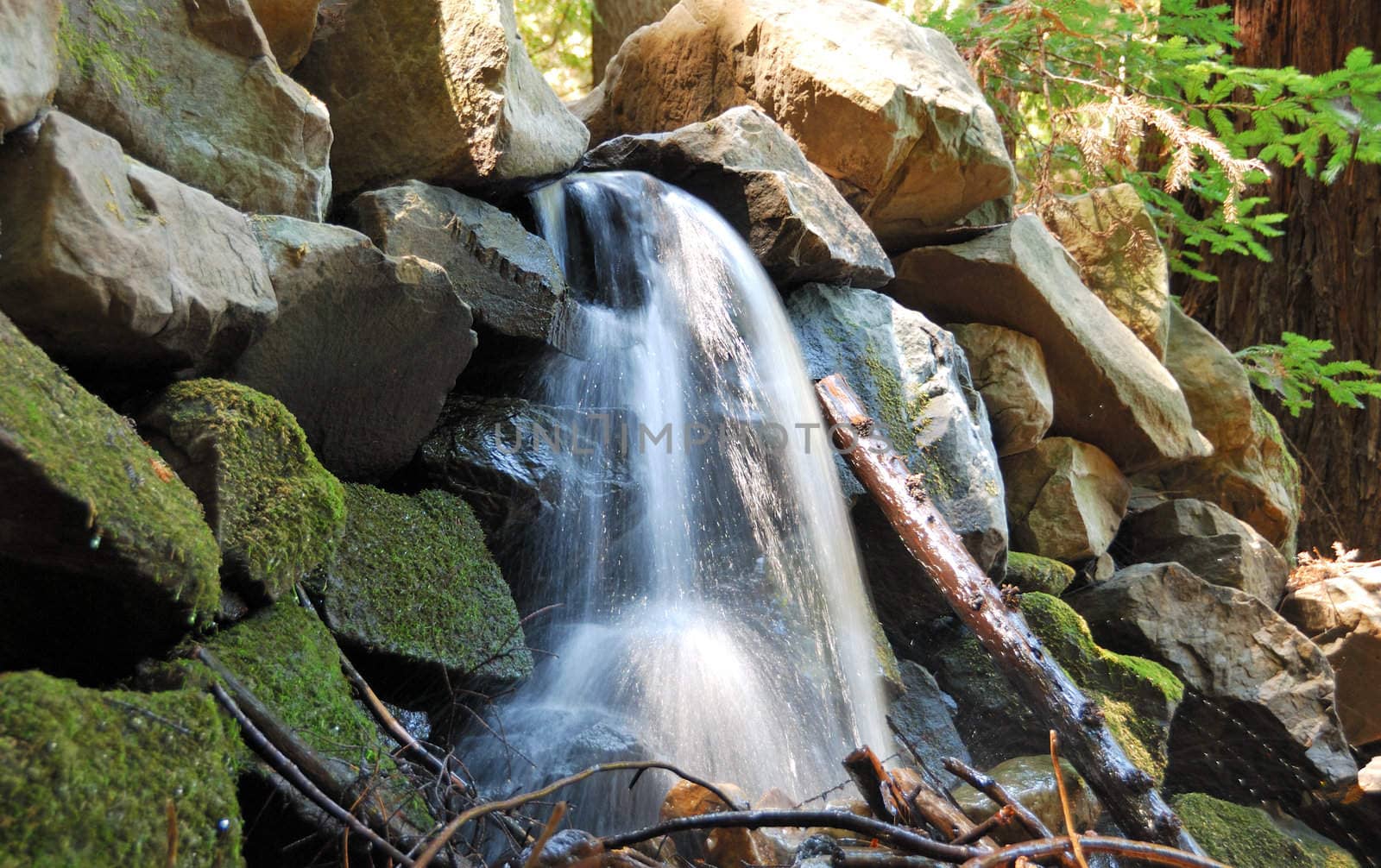 Creek Waterfall in the SUn Shown Between Moss Covered Rocks