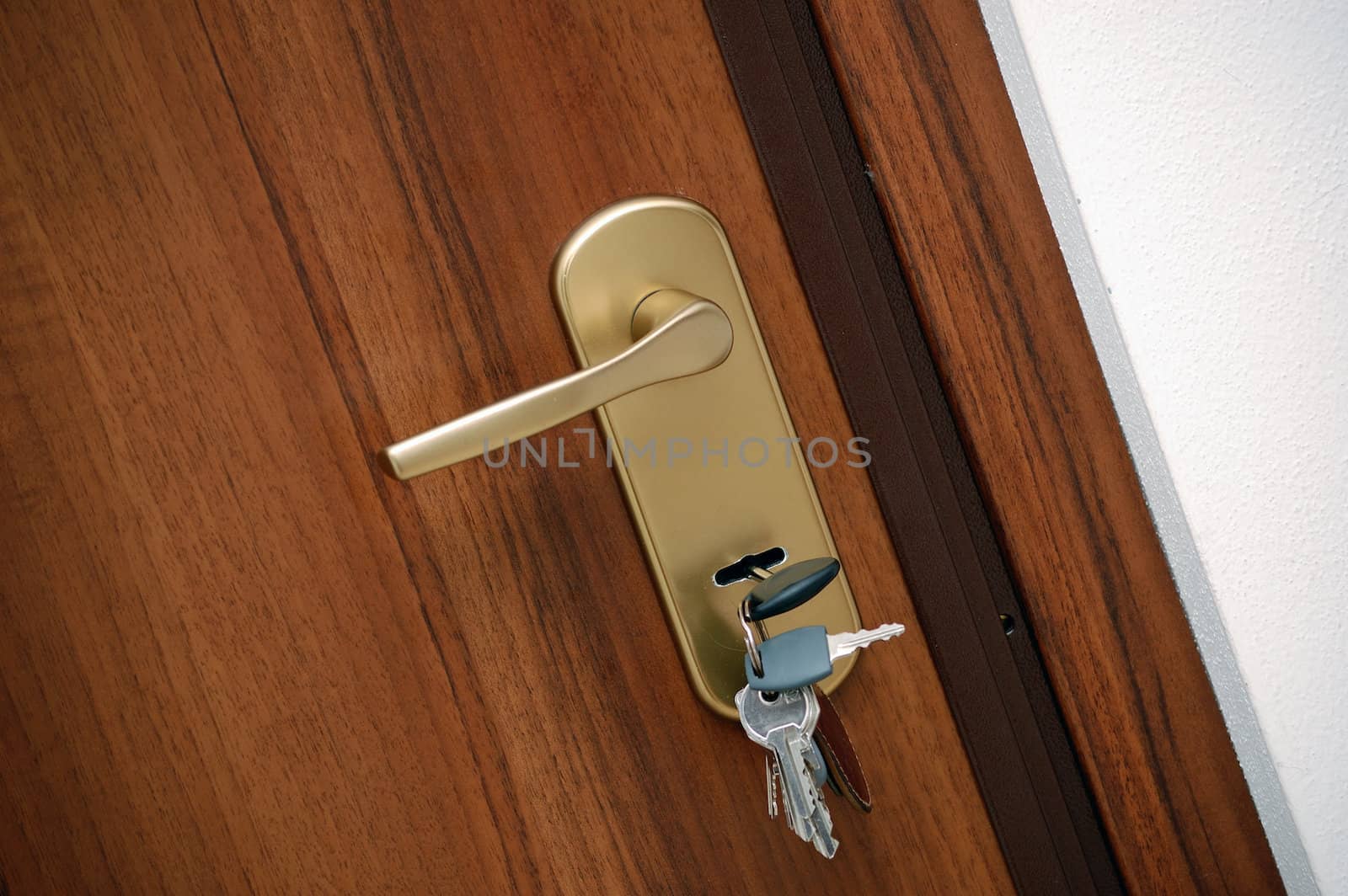 modern door handle closeup with the keys