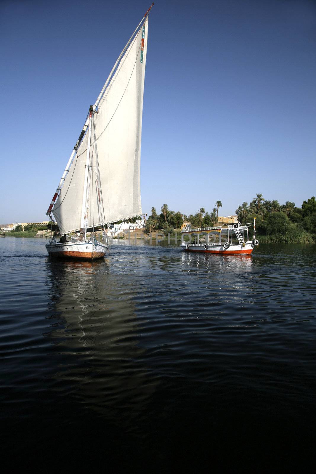 boats in nile by quintanilla