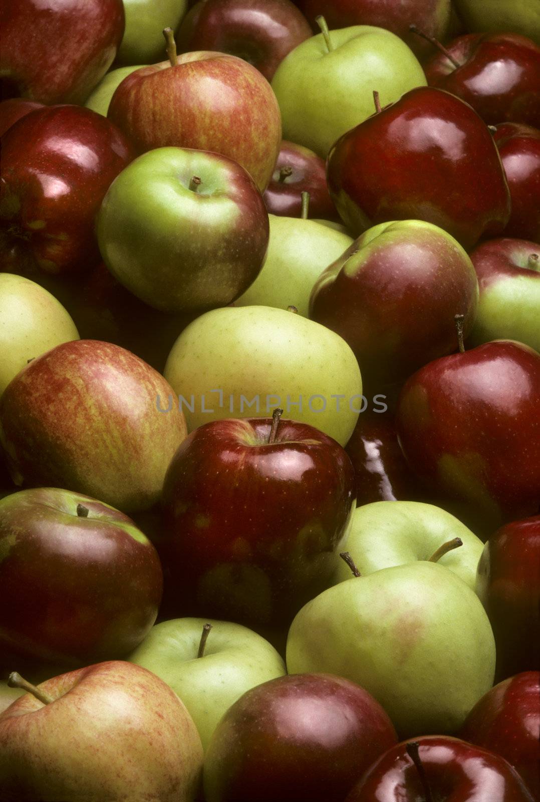 Pile of mixed varieties of apples including Red Delicious, Golden Delicious, MacIntosh