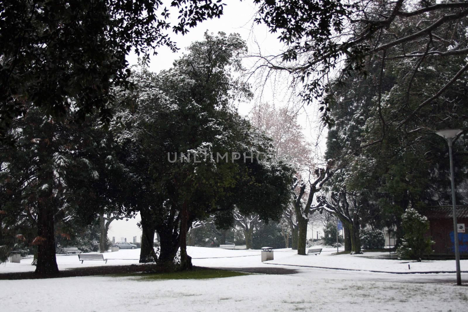 quiet park in the snow by keki