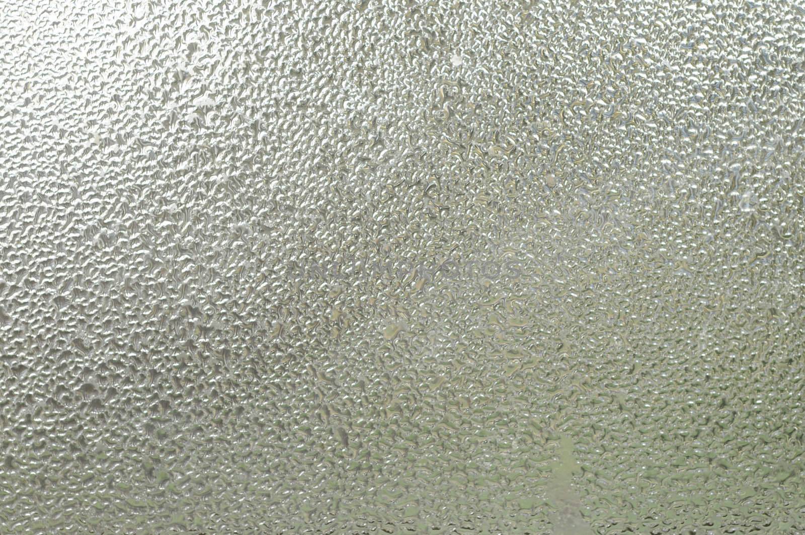 Water condensation on glass