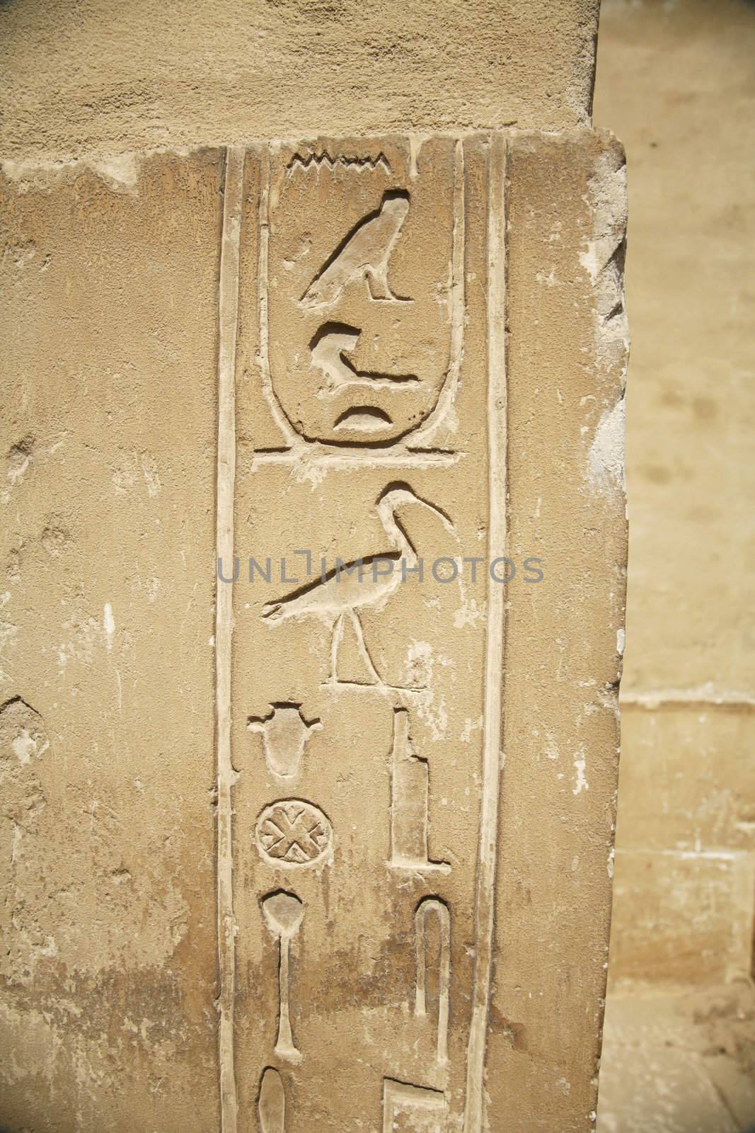egyptian hieroglyphic writing with birds on a wall