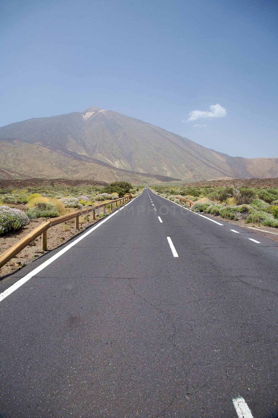 road near the teide volcano in tenerife spain