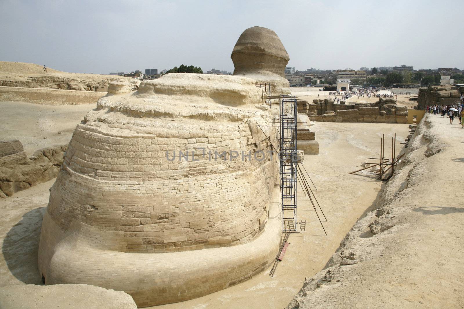 back view of the sphinx next to gizah in egypt