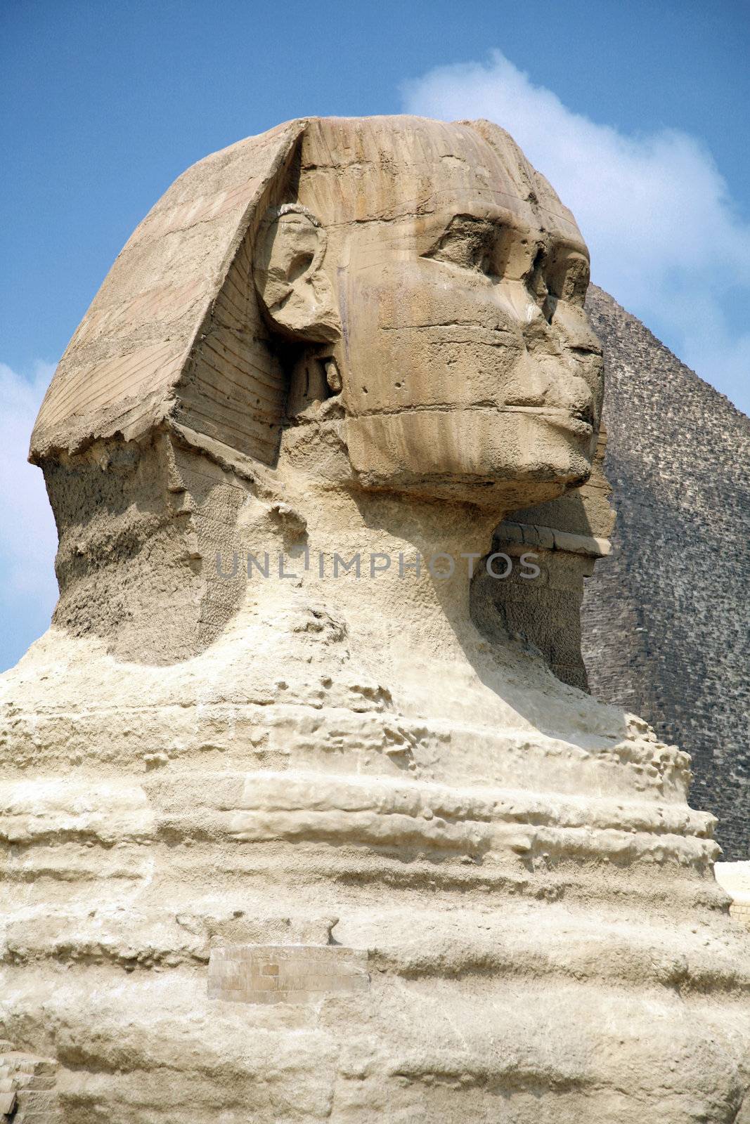 sphinx head with gizah pyramid behind