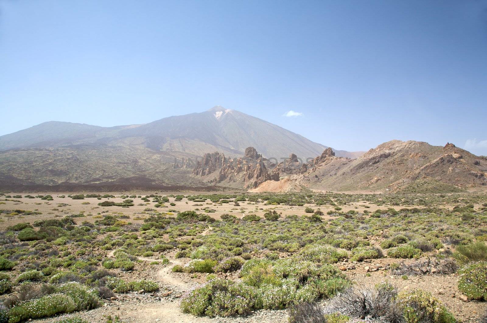 volcanic area near the teide volcano in tenerife spain