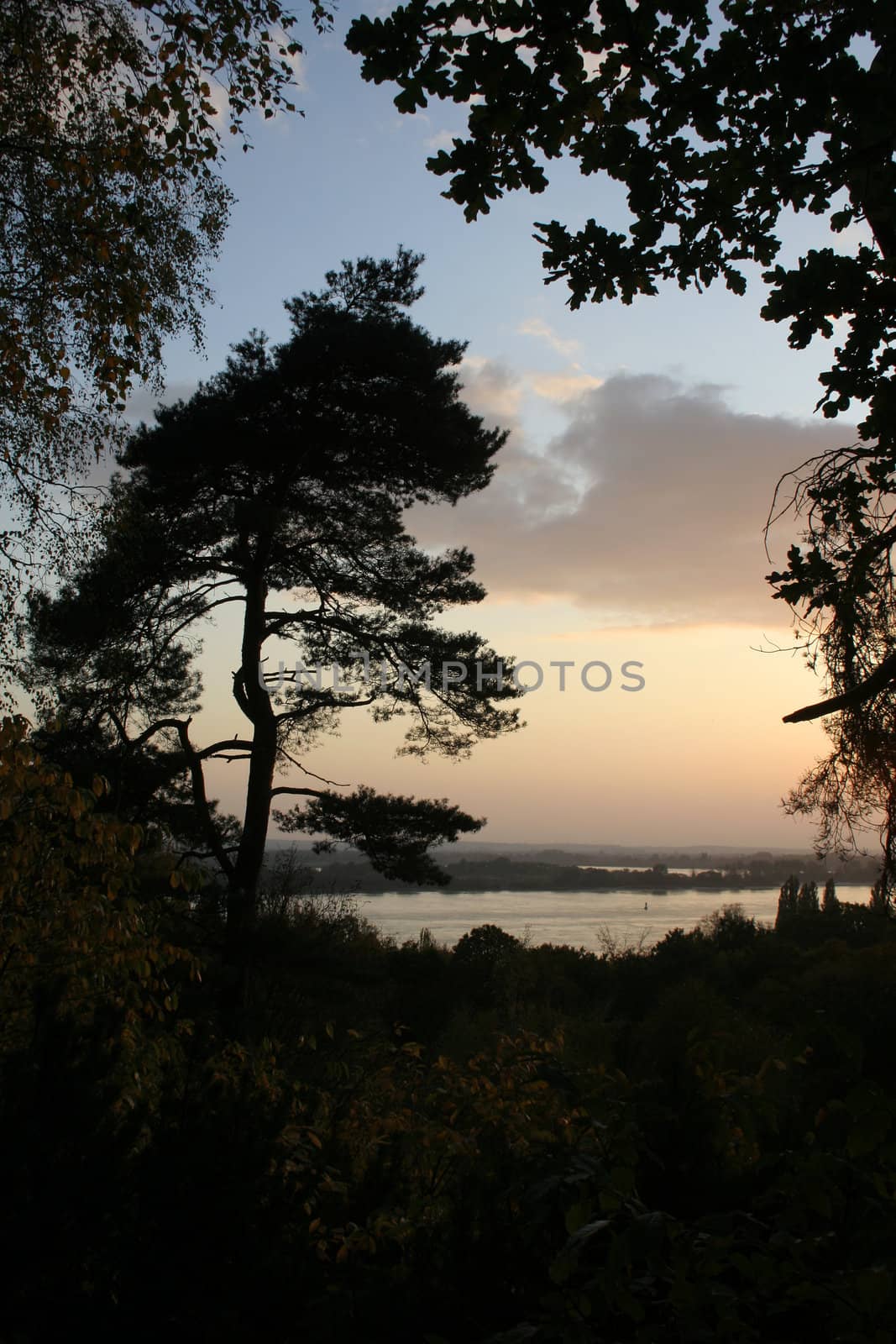 Sunset view to river Elbe (and the island Neßsand) from Sven-Simon-Park/Falkenstein in Hamburg-Blankenese, Germany.