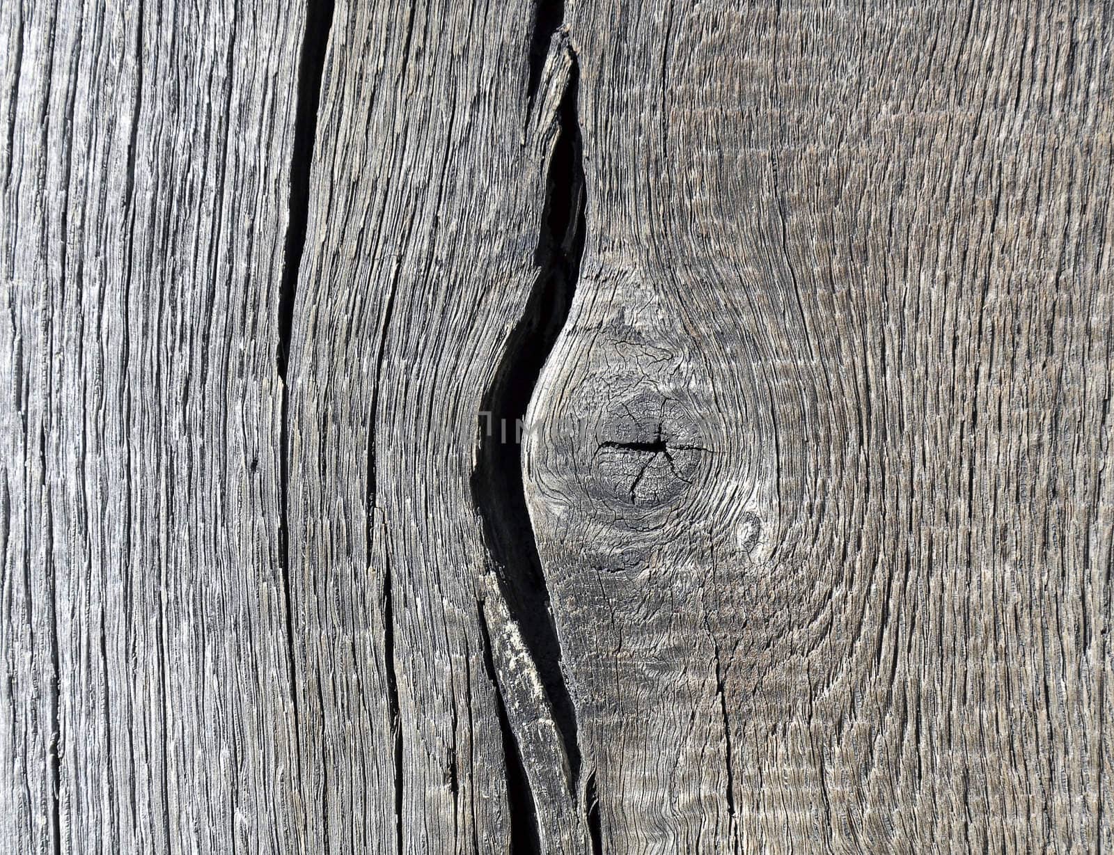 Weathered wood by yorkman