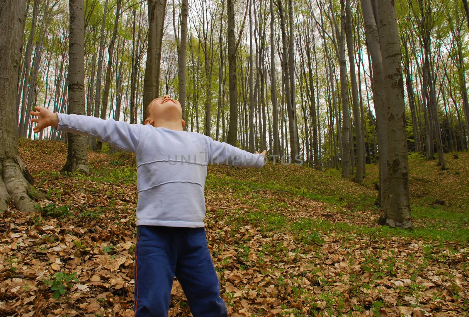 a boy is standing in the woods with arms spread, breathing the air