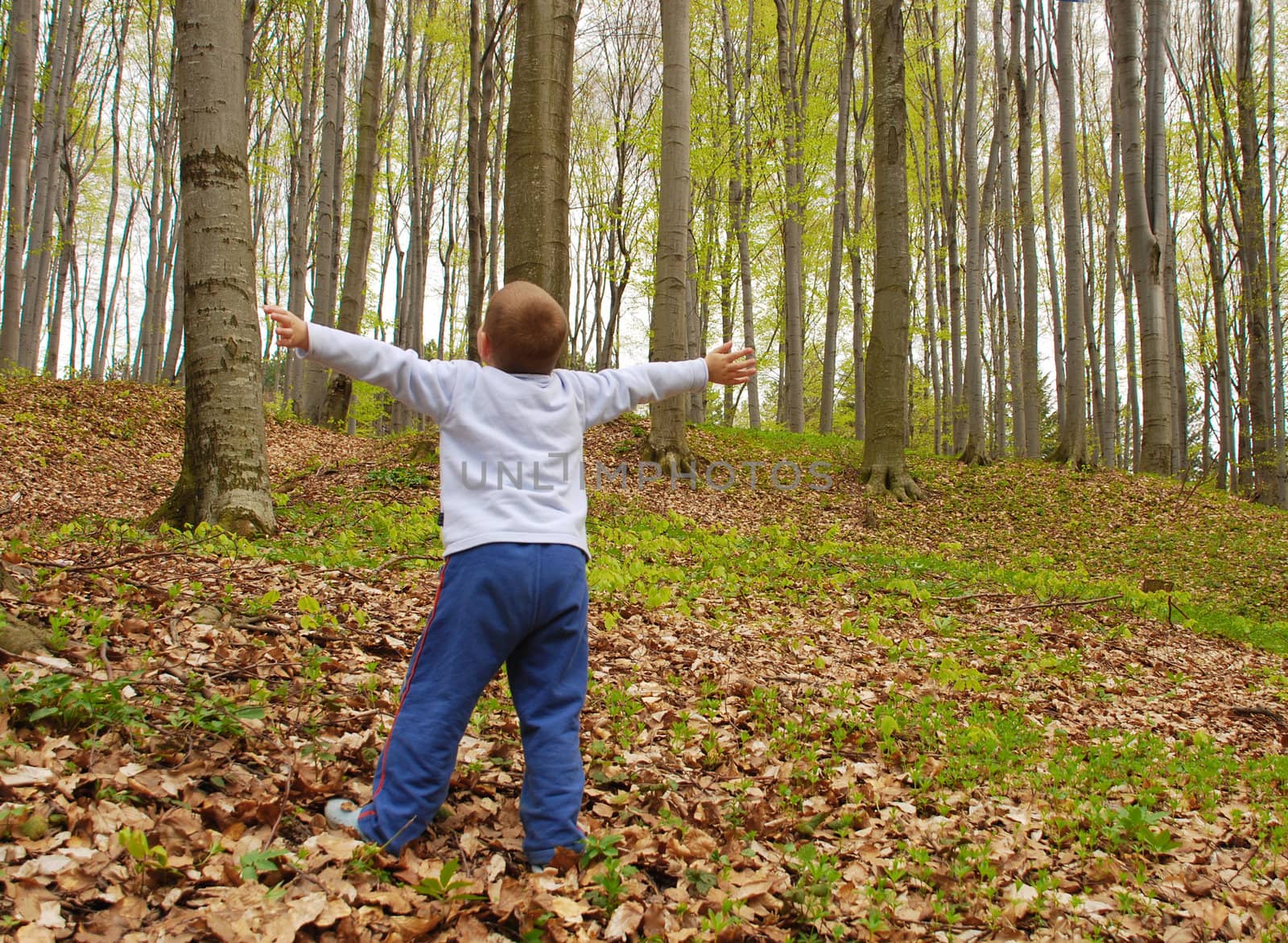 a boy is standing in the woods with arms spread, breathing the air