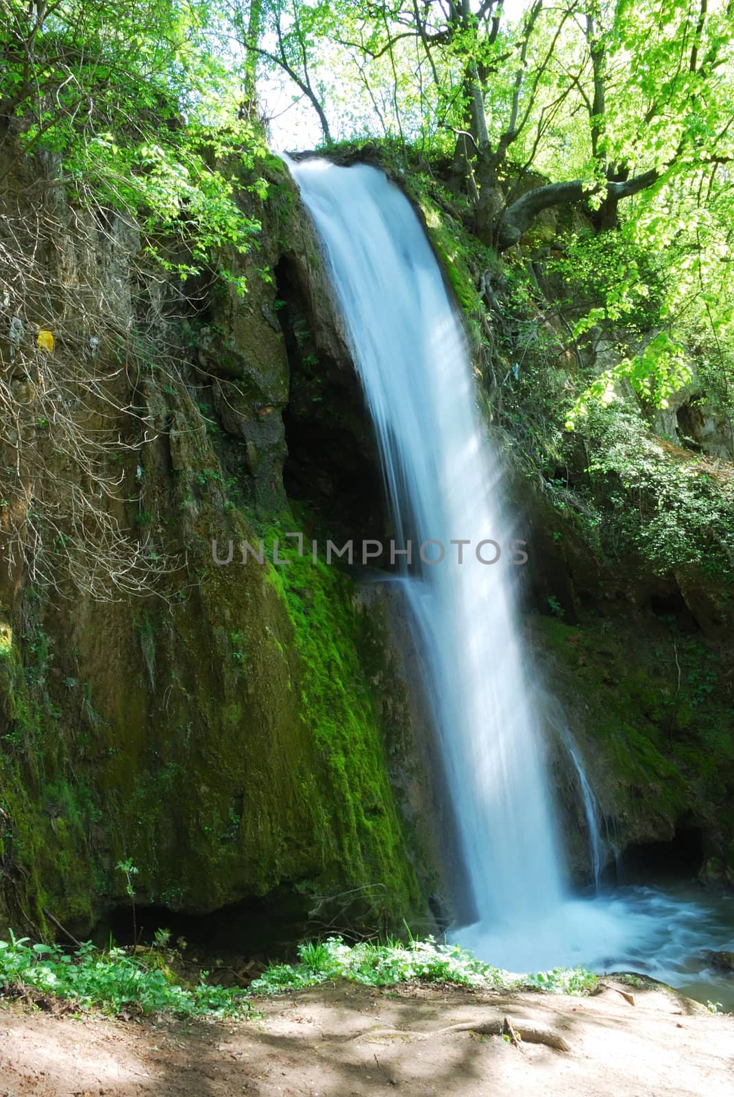 a waterfall surrounded with rocks and plants